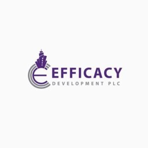 efficacy construction limited